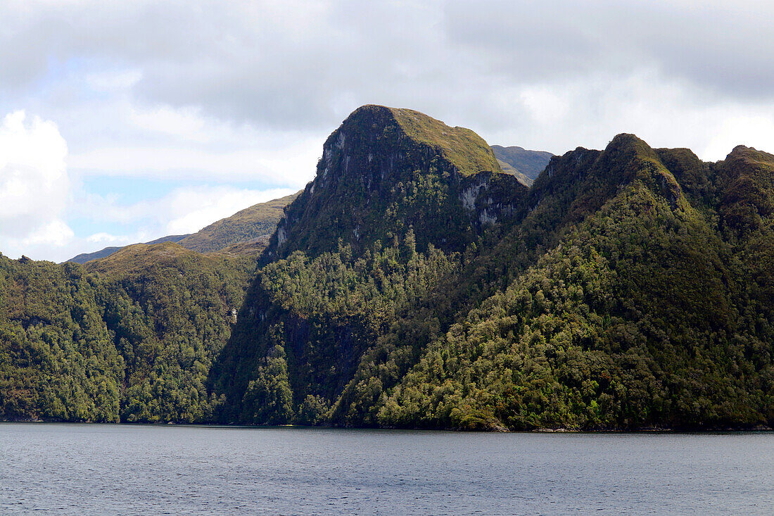 Chile; Southern Chile; Aysen Region; Mountains of the southern Cordillera Patagonica; on the Navimag ferry through the Patagonian fjords; Canal Messier; forested cliffs and steep mountain slopes