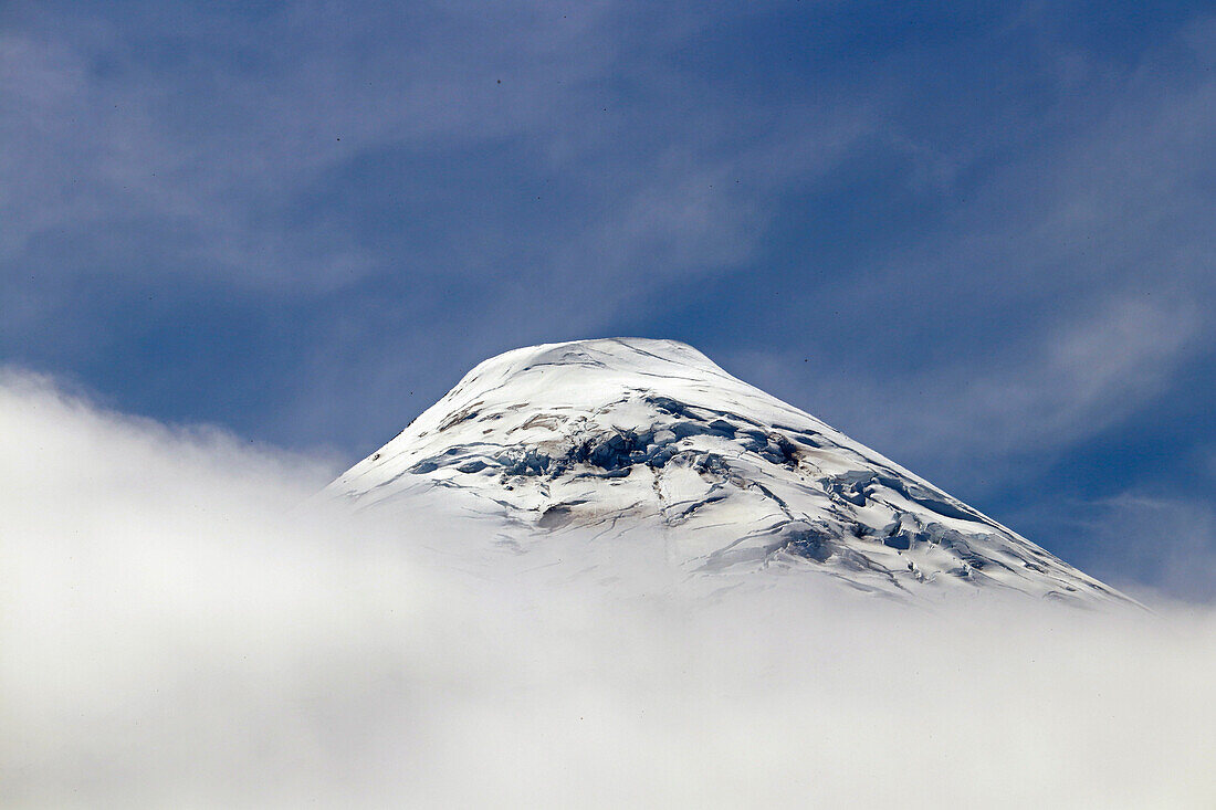 Chile; Südchile; Region Los Lagos; Gebirge der südlichen Cordillera Patagonica; die Spitze des Vulkan Osorno ragt aus den Wolken;