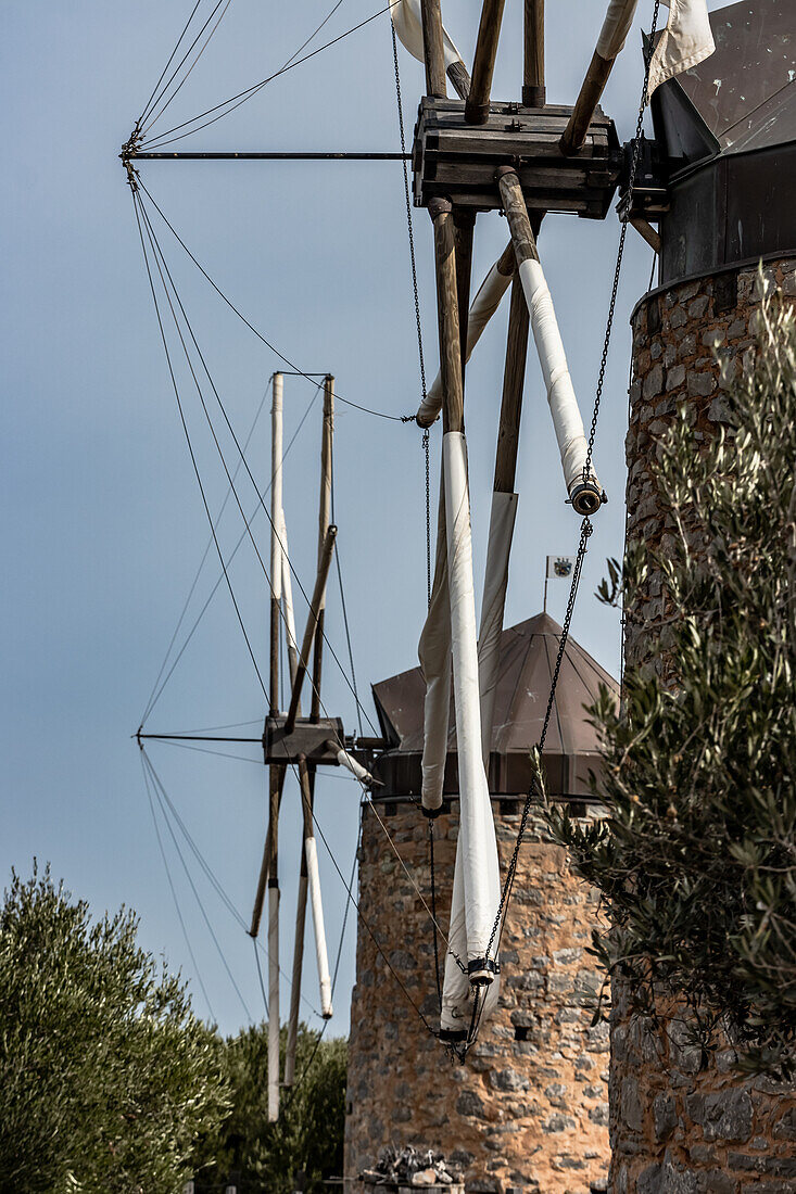 Alte Mühlen und Olivenbäume in Griechenland