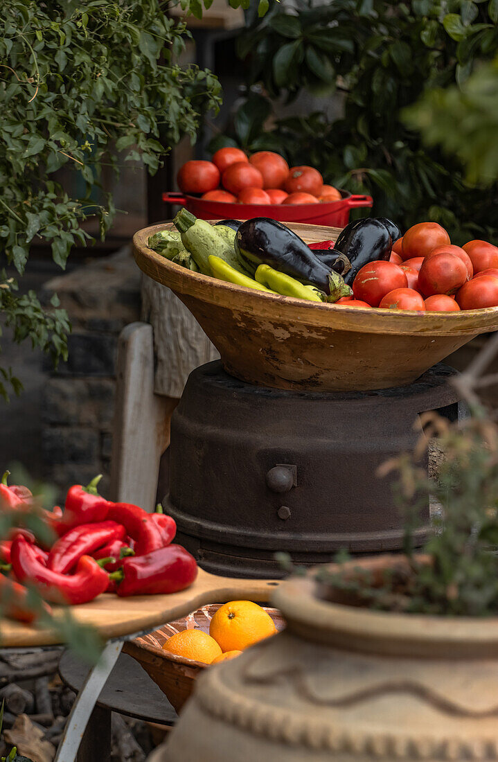 Tomatoes zucchini eggplant peppers