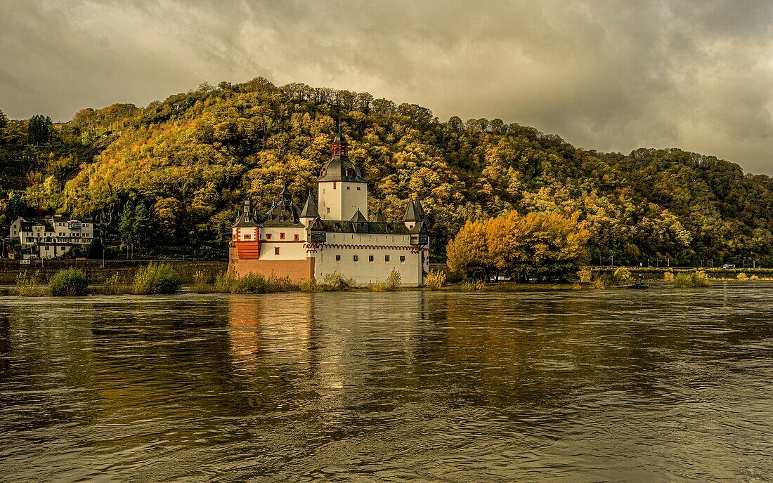 Herbststimmung am Rhein, Inselburg Pfalzgrafenstein, Kaub, Oberes Mittelrheintal, Rheinland-Pfalz, Deutschland