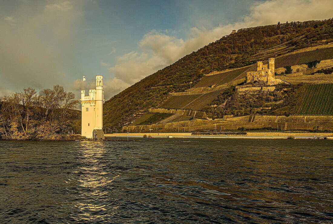 Mouse Tower, landmark of the city of Bingen and Ehrenfels Castle, Upper Middle Rhine Valley, Rhineland-Palatinate and Hesse, Germany