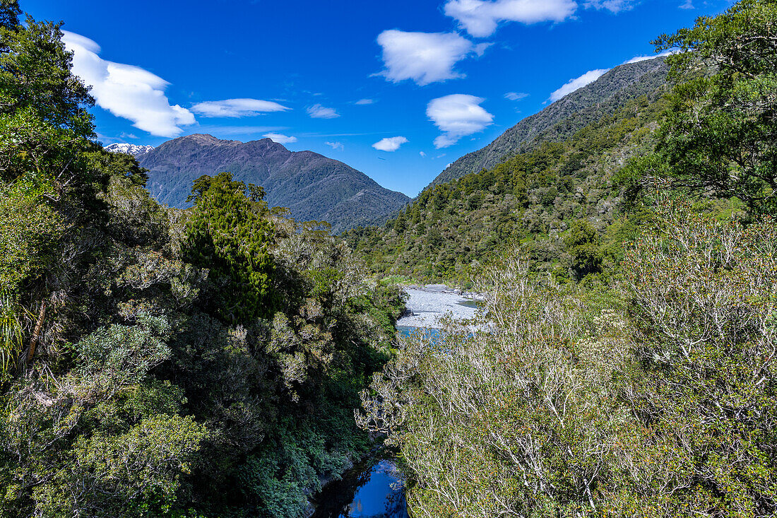 Türkisfarbenes Wasser fließt durch die Hokitika Gorge inmitten üppiger Vegetation und Felsformationen, Südinsel von Neuseeland