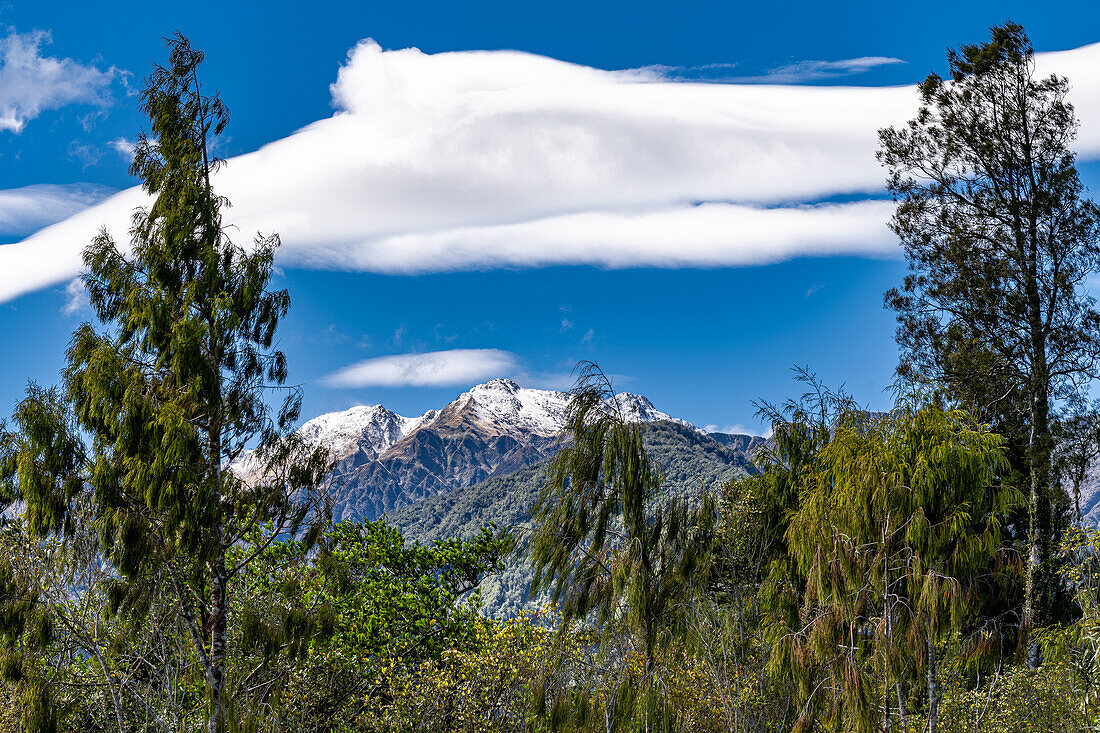 Berge bei der Hokitika-Schlucht inmitten üppiger Vegetation und Felsformationen, Südinsel von Neuseeland