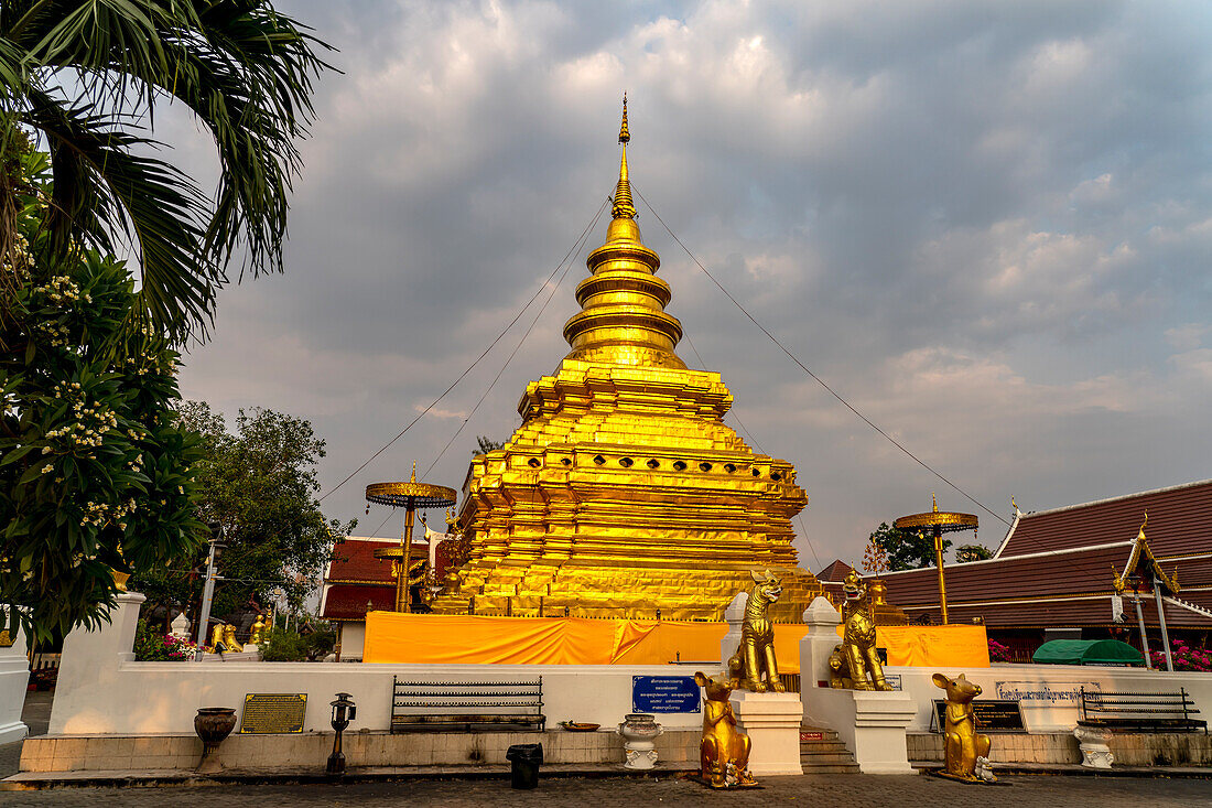Der goldene Chedi des buddhistischen Tempel Wat Phra That Si in Chom Thong, Thailand, Asien  