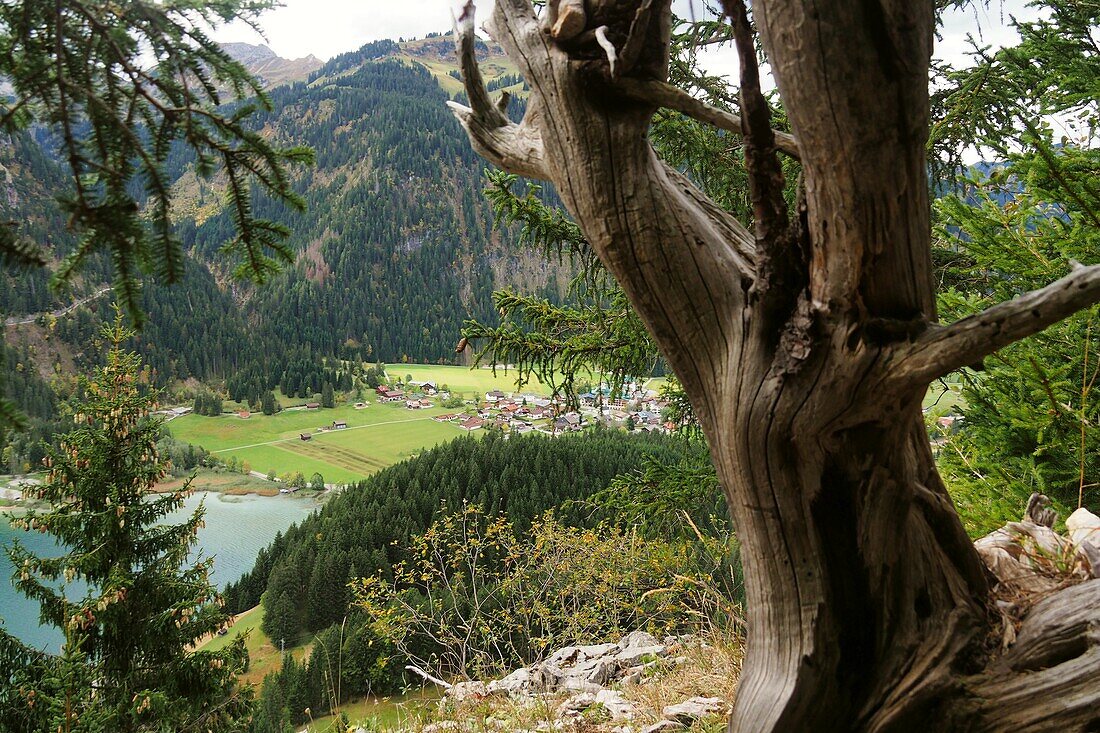 View of the Haldensee in the Tannheimer Tal, Ausserferner, Tyrol, Austria
