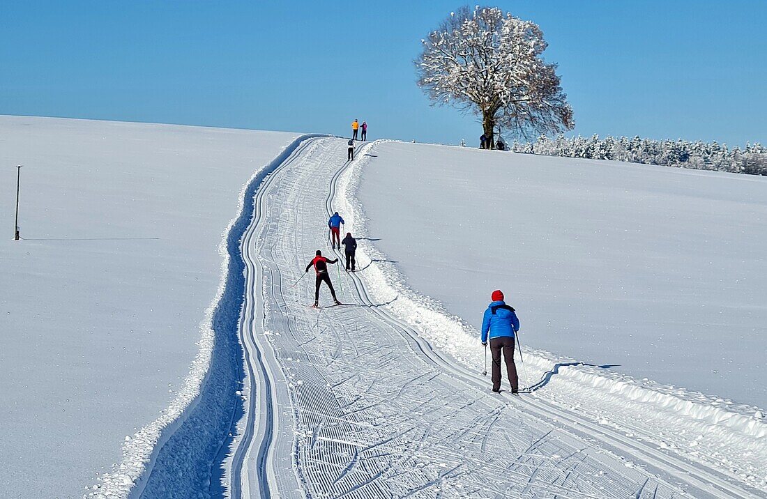 Skilanglauf bei Humbach, Tölzer Land, Winter in Bayern, Deutschland
