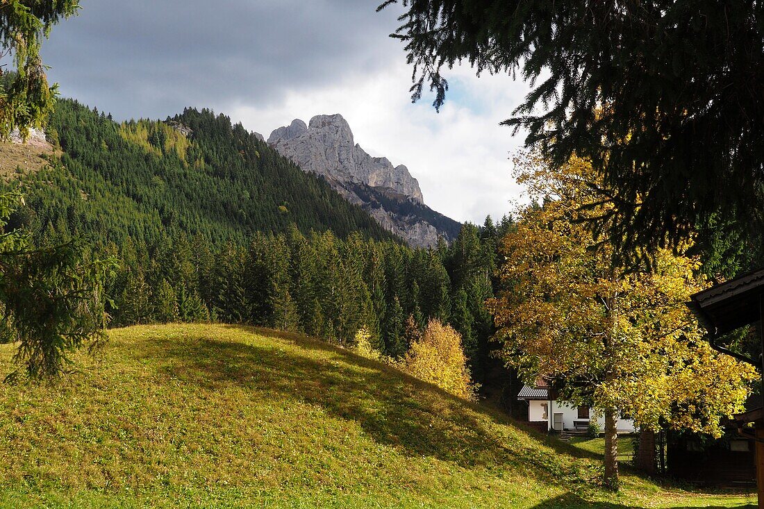 Im Tannheimer Tal, Ausserferner, Tirol, Österreich