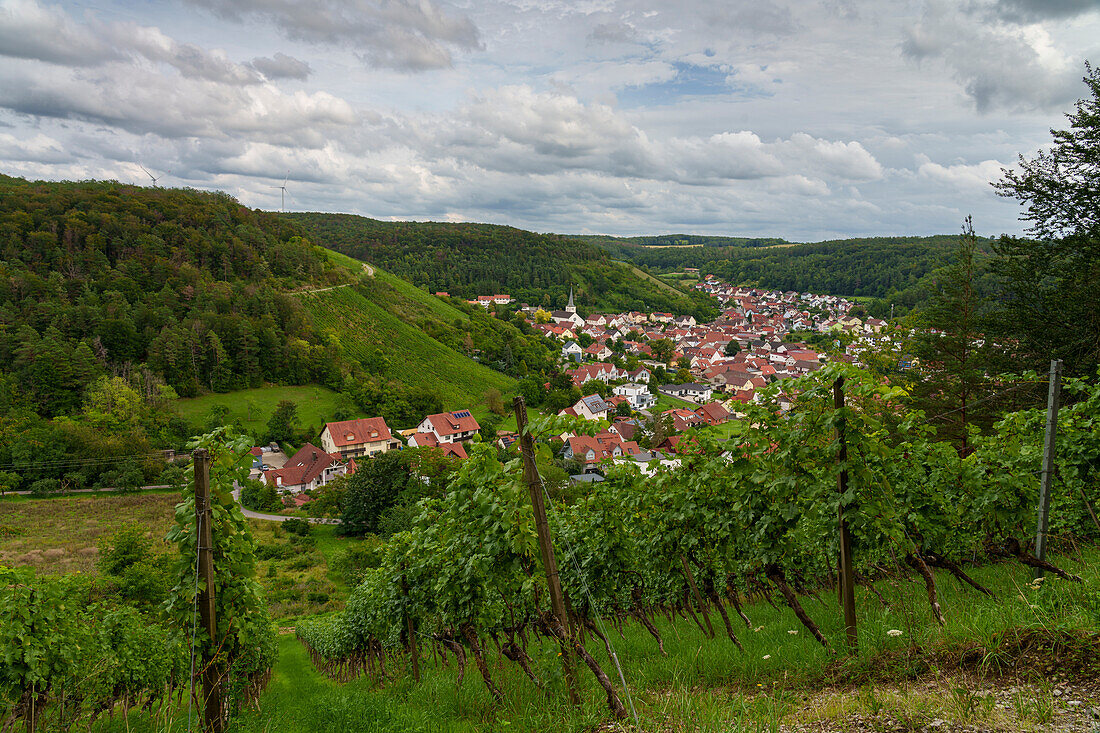 Blick auf das Weindorf Ramsthal und seine Weinberge im Abendlicht, Landkreis Bad Kissingen, Franken, Unterfranken, Bayern, Deutschland