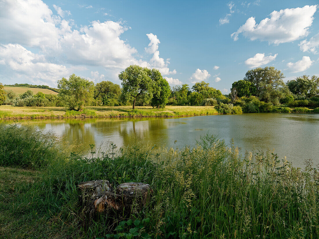 Abend am Obereisenheimer Badesee zwischen Main und der Mainebene bei Obereisenheim, Landkreis Würzburg, Franken, Unterfranken, Bayern, Deutschland