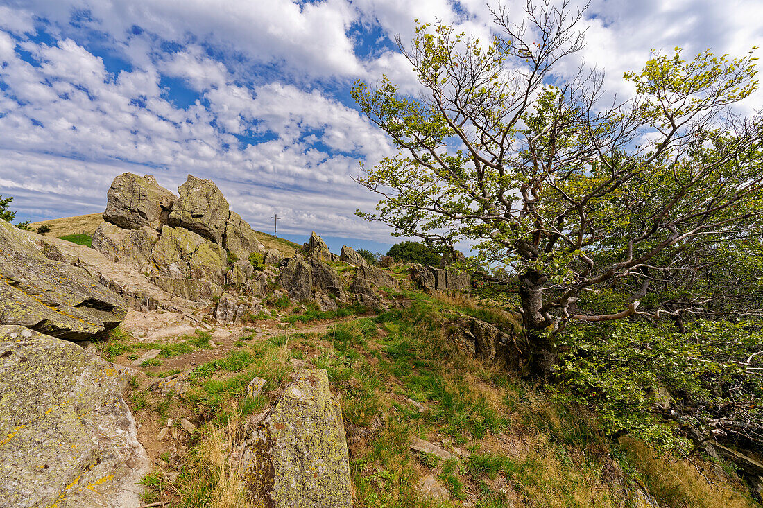 The Horse's Head in the Rhön Biosphere Reserve in autumn, Hesse, Germany