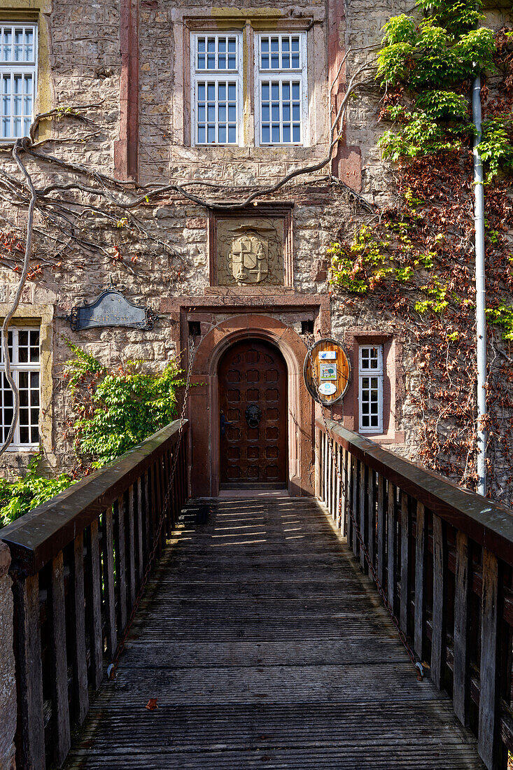 Saaleck Castle near the wine town of Hammelburg, Bad Kissingen district, Lower Franconia, Franconia, Bavaria, Germany