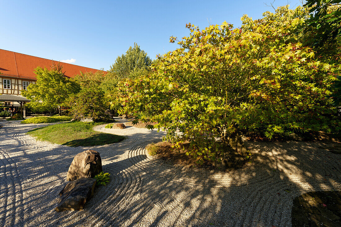 Der Japanische Garten im Schlosspark Moritzburg in Zeitz, Burgenlandkreis, Sachsen-Anhalt, Deutschland