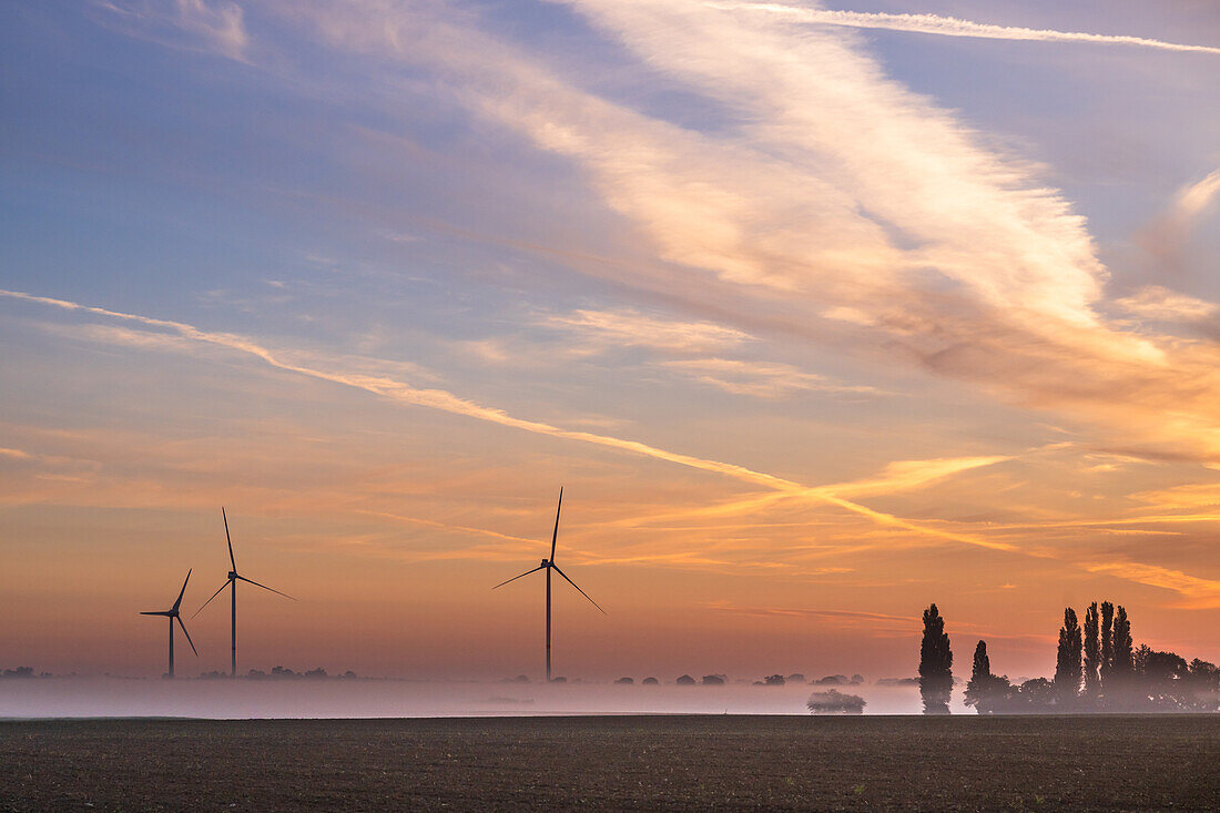 Windpark im Morgenlicht, Neukirchen, Ostholstein, Schleswig-Holstein, Deutschland