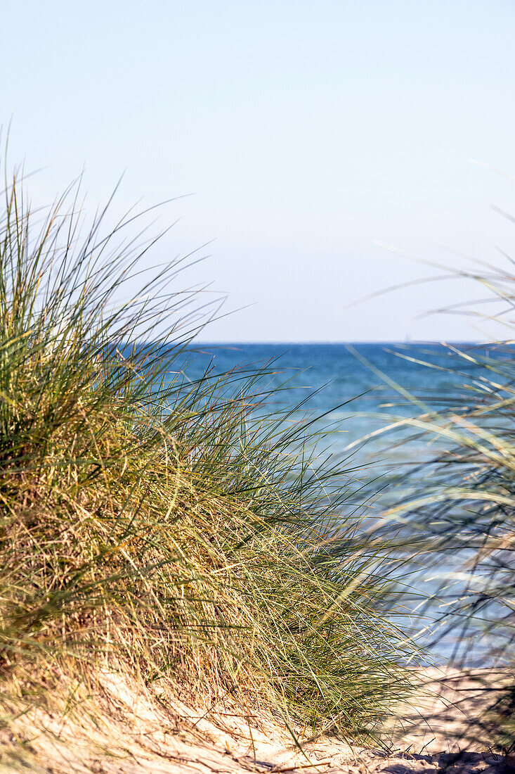 Strandweg in den Dünen, Ostsee, Schleswig-Holstein