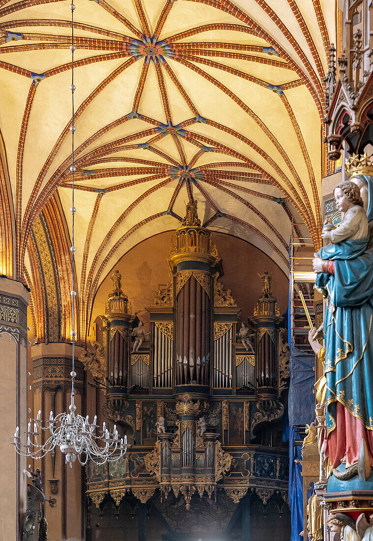 Baroque organ front in the cathedral (Frauenburg Cathedral) in Frombork (Frauenburg) in the Warmińsko-Mazurskie Voivodeship in Poland