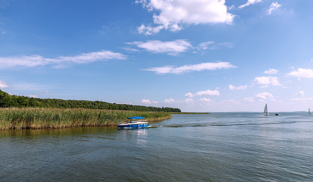 Segelboote auf dem Jezioro Mikołajskie (Nikolaikensee) am Übergang zum Jezioro Śniardwy (Spirdingsee) in den Masuren (Mazury) in der Wojewodschaft Warmińsko-Mazurskie in Polen