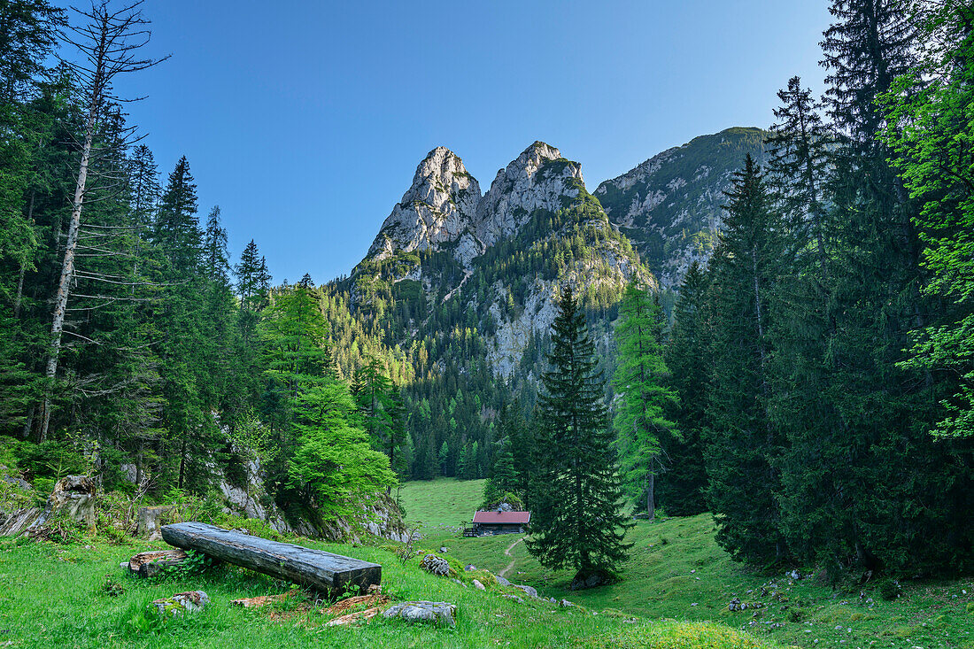 Man and woman hiking take a break at a wooden bench with a view of the mountain pasture and summit of the Drei Brüder, Drei Brüder, Reiteralm, Berchtesgaden Alps, Salzburg, Austria