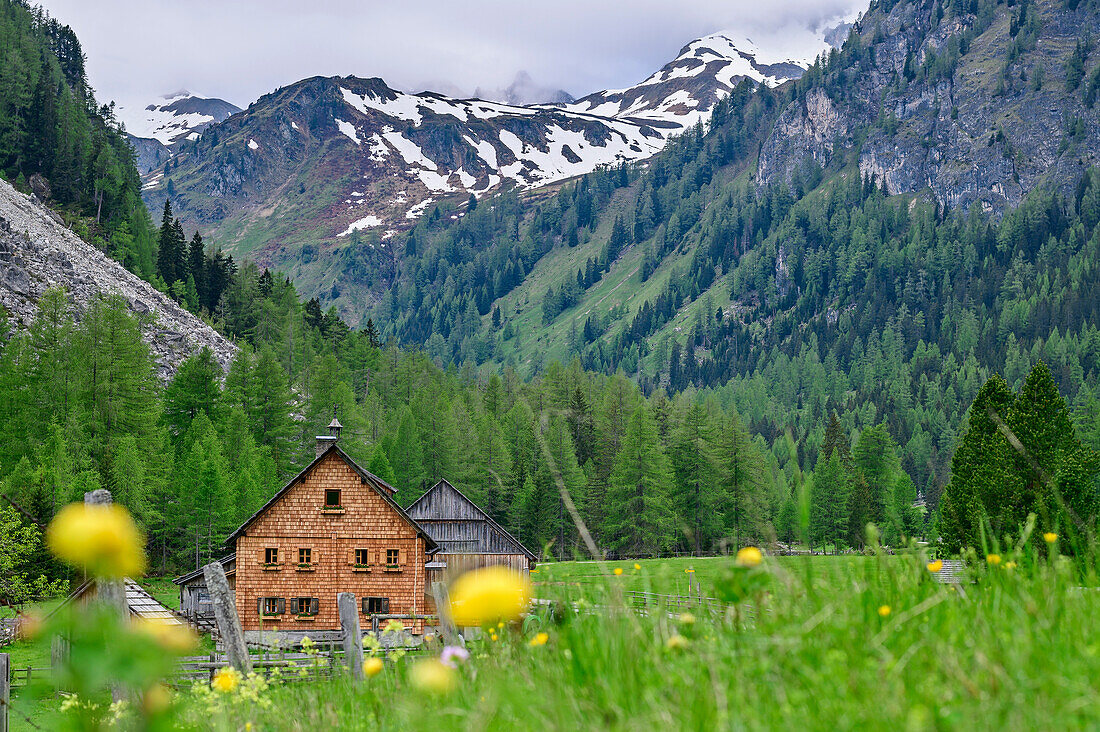 Holzgetäfelte Gruberalm mit Riedingtal, Riedingtal, Lungau, Niedere Tauern, Salzburg, Österreich
