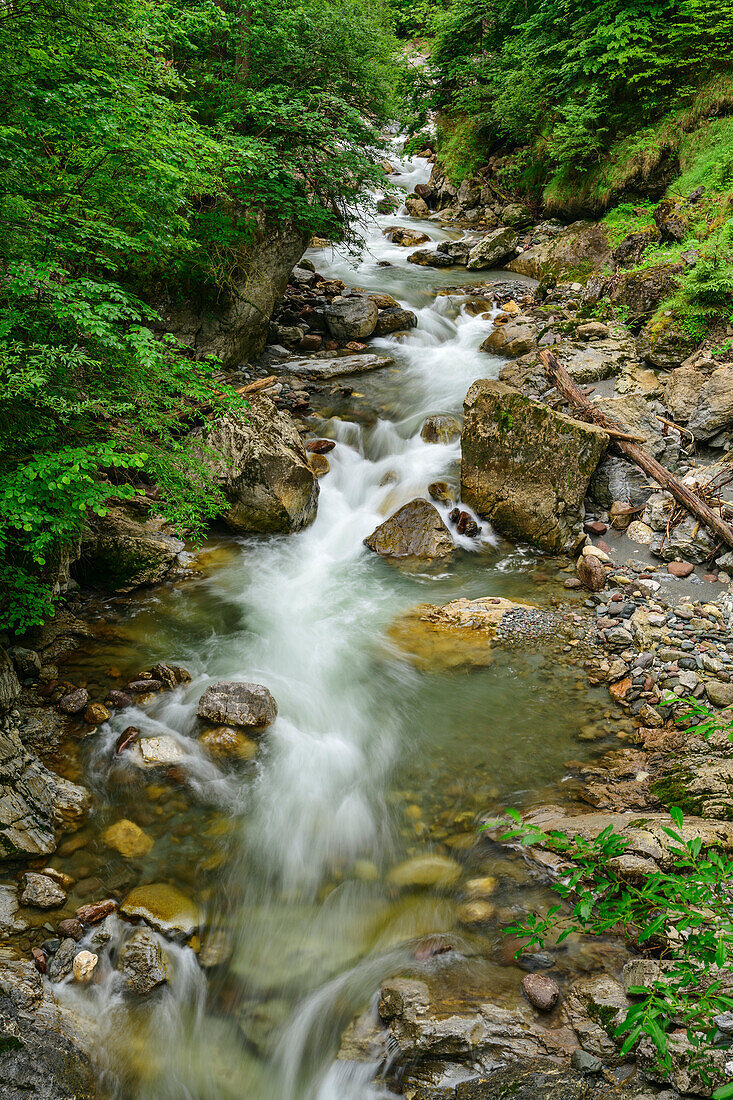 Bach Wildschönauer Ache fließt durch Kundler Klamm, Wildschönau, Kitzbüheler Alpen, Tirol, Österreich 