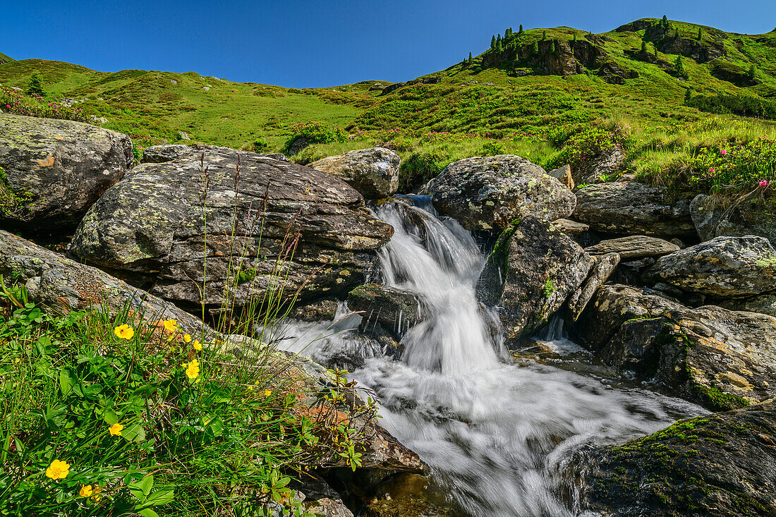 Stream Salzach flows over boulders, Salzachquelle, Kitzbühel Alps, Tyrol, Austria
