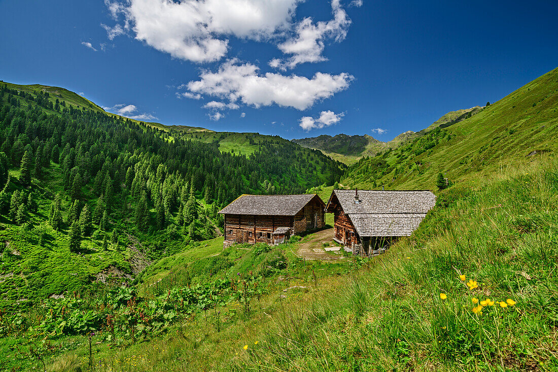Alpine huts of the Mottland-Grundalm, Salzachgeier, Kitzbühel Alps, Tyrol, Austria