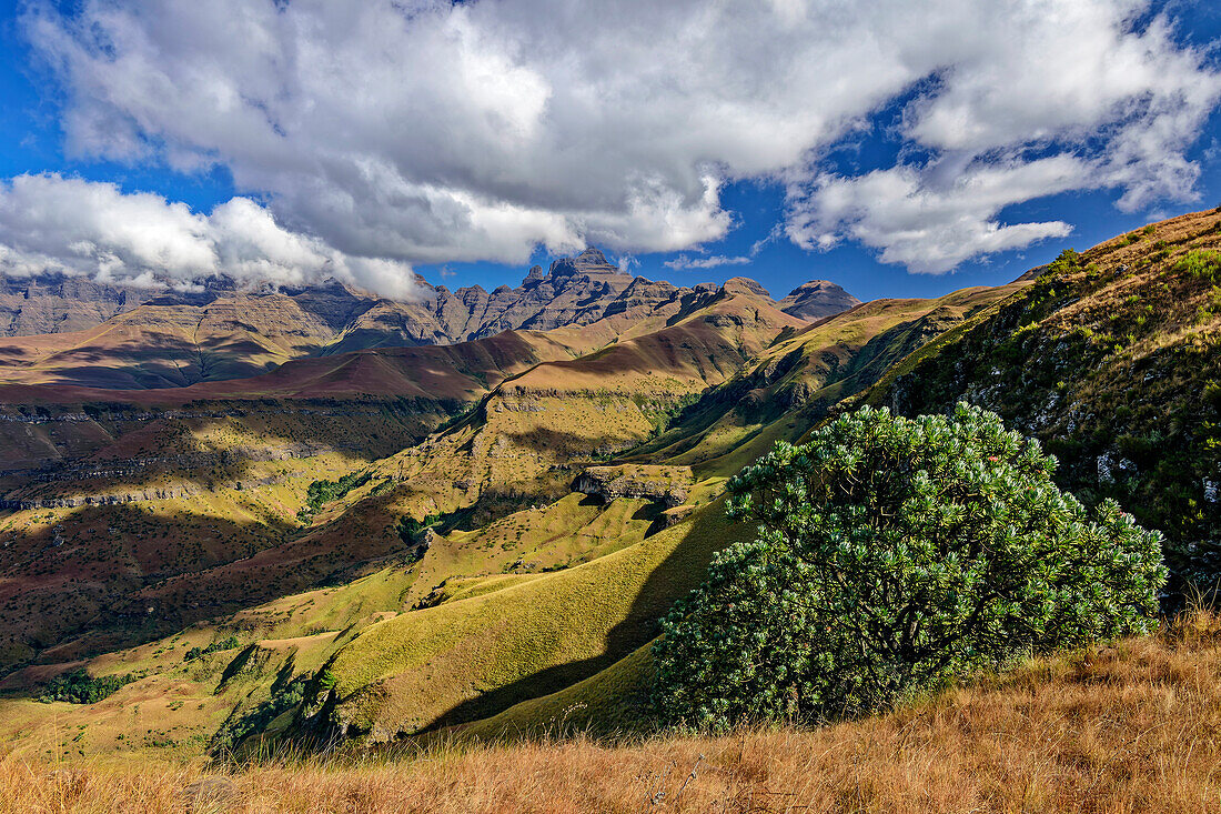 Cloudy atmosphere over the Drakensberg with Cathedral Peak, Baboon Rock, Didima, Cathedral Peak, Drakensberg, Kwa Zulu Natal, UNESCO World Heritage Site Maloti-Drakensberg, South Africa