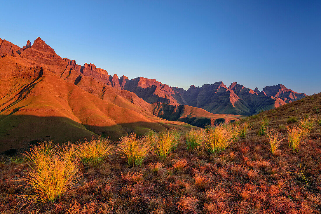 Alpenglow in the Drakensberg with The Pyramid, Organ Pipes Pass, Didima, Cathedral Peak, Drakensberg, Kwa Zulu Natal, UNESCO World Heritage Site Maloti-Drakensberg, South Africa