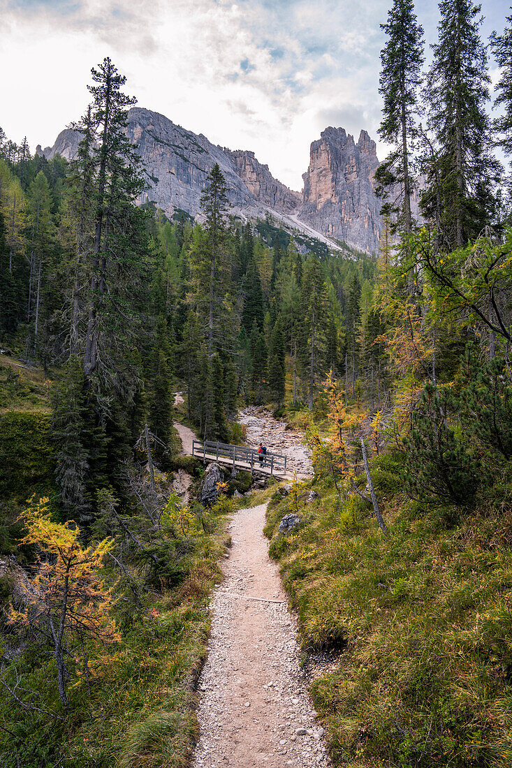 Mountain hike to the Croda da Lago mountain hut around the mountain lake Lago Federa, Dolomites, UNESCO World Heritage Site Dolomites, Veneto, Veneto, Italy