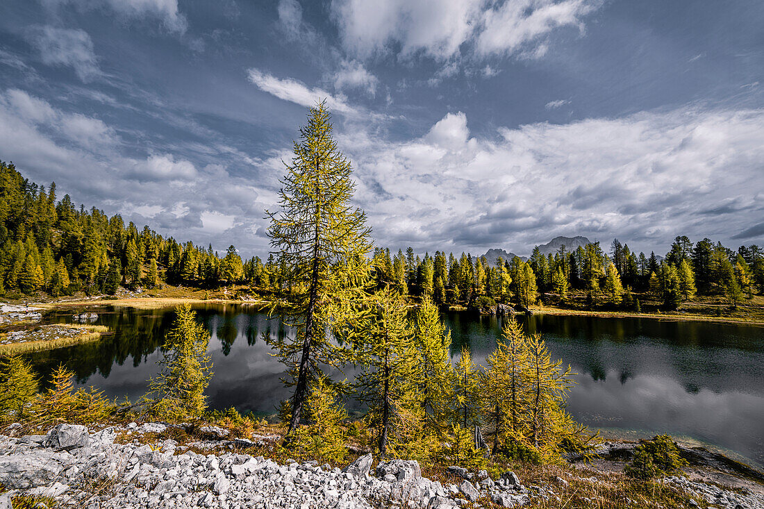 Bergwanderung zur Berghütte Croda da Lago um den Bergsee Lago Federa, Dolomiten, UNESCO Weltnaturerbe Dolomiten, Venetien, Venezien, Italien