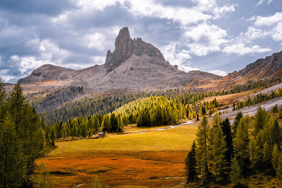 Mountain hike to the Croda da Lago mountain hut around the mountain lake Lago Federa, Dolomites, UNESCO World Heritage Site Dolomites, Veneto, Veneto, Italy