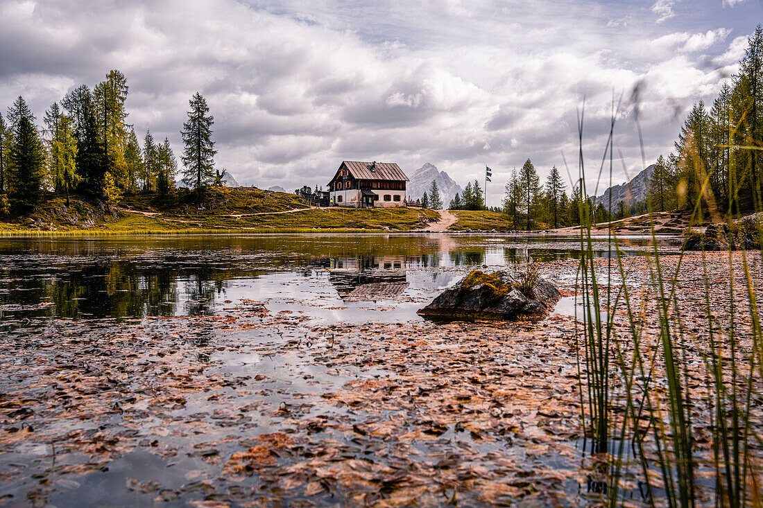 Mountain hike to the Croda da Lago mountain hut around the mountain lake Lago Federa, Dolomites, UNESCO World Heritage Site Dolomites, Veneto, Veneto, Italy