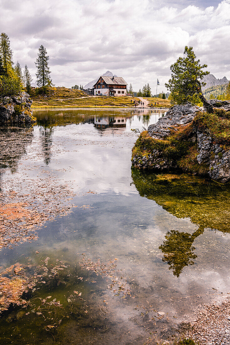 Mountain hike to the Croda da Lago mountain hut around the mountain lake Lago Federa, Dolomites, UNESCO World Heritage Site Dolomites, Veneto, Veneto, Italy