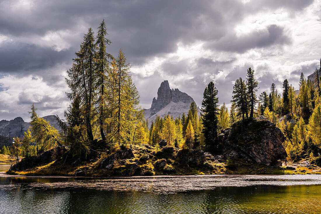 Mountain hike to the Croda da Lago mountain hut around the mountain lake Lago Federa, Dolomites, UNESCO World Heritage Site Dolomites, Veneto, Veneto, Italy