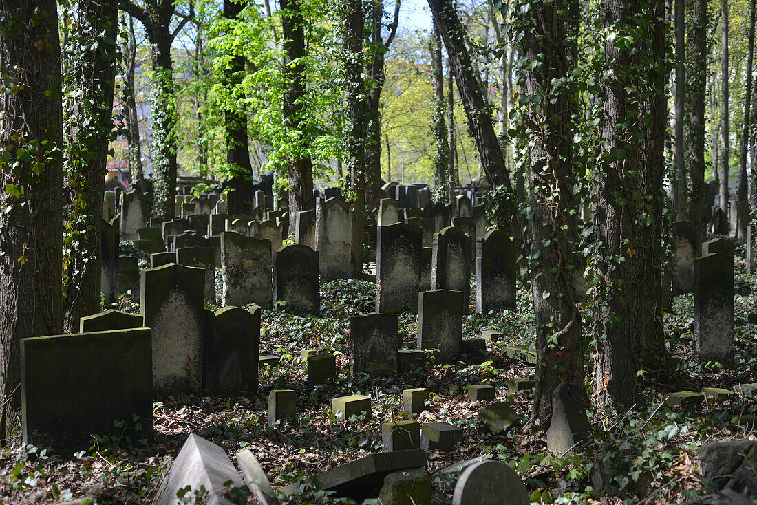 Berlin, Deutschland. Jüdischer Friedhof