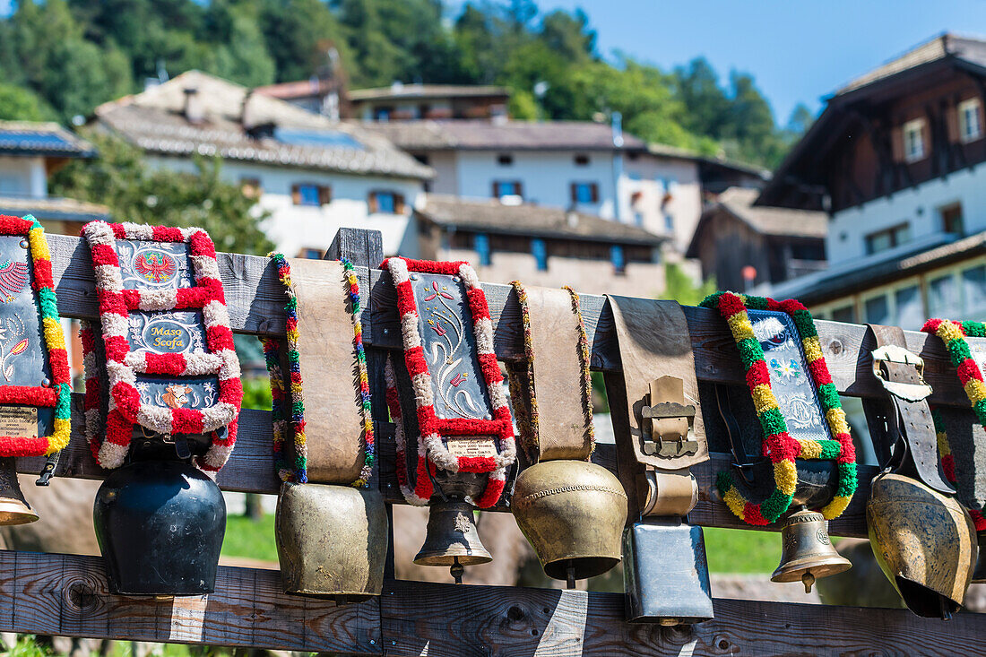 Cattle drive, cow bells, Truden, South Tyrol, Alto Adige, Italy