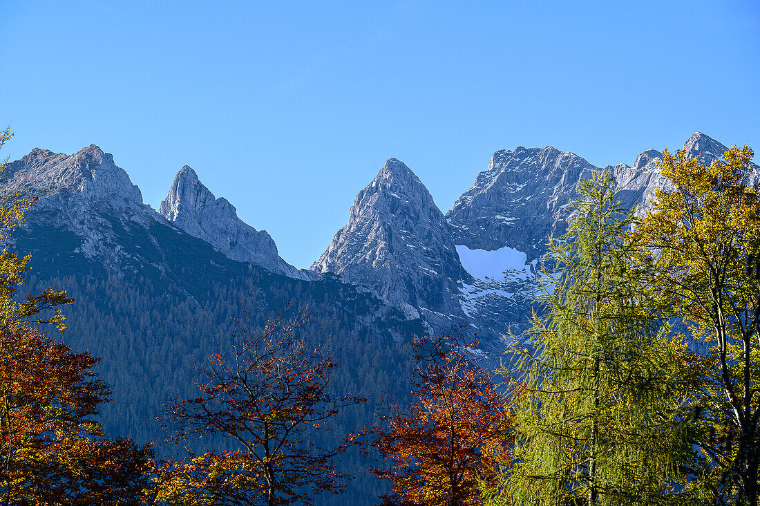 Blick von Ramsau auf Watzmann-Westwand, Nationalpark Berchtesgaden, Berchtesgadener Alpen, Oberbayern, Bayern, Deutschland