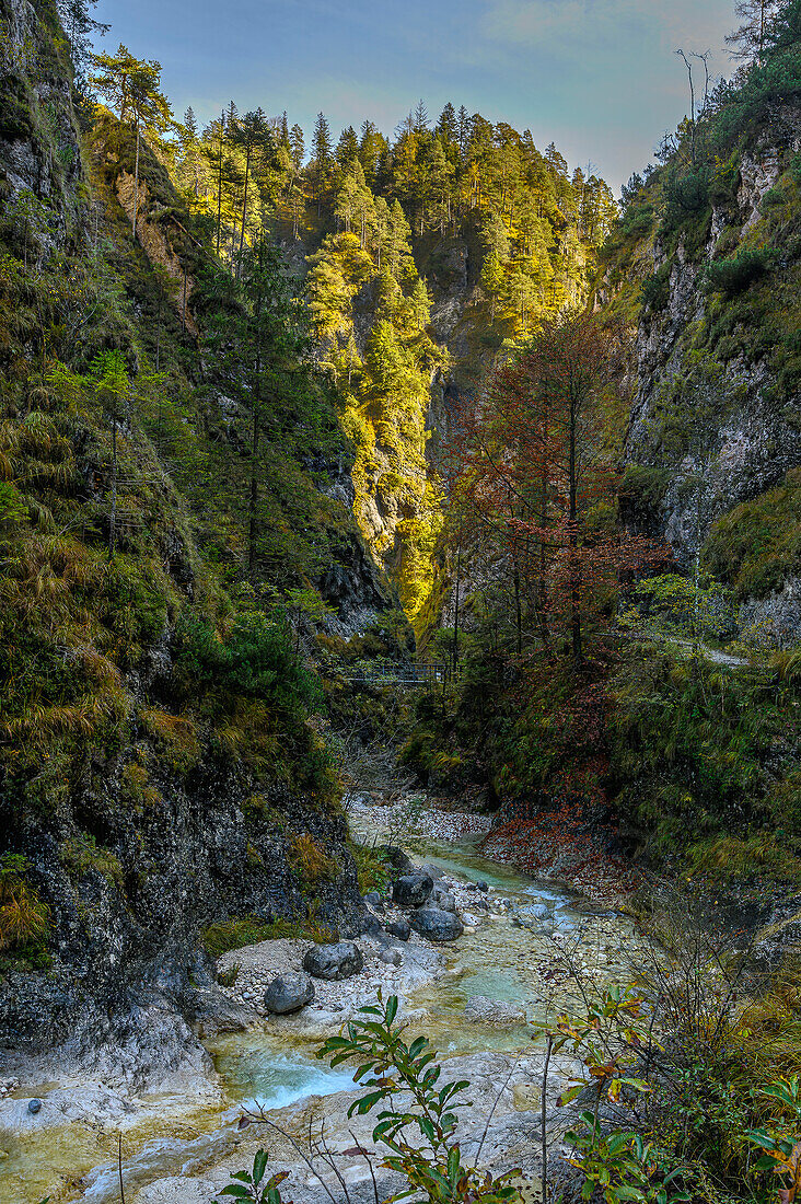 Hiking in the gorge, Almbach, Almbachlamm, gorge, canyon, gorge, Berchtesgaden National Park, Berchtesgaden Alps, Upper Bavaria, Bavaria, Germany