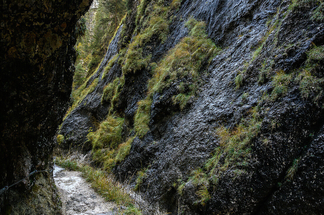 Hiking in the gorge, Almbach, Almbachlamm, gorge, canyon, gorge, Berchtesgaden National Park, Berchtesgaden Alps, Upper Bavaria, Bavaria, Germany