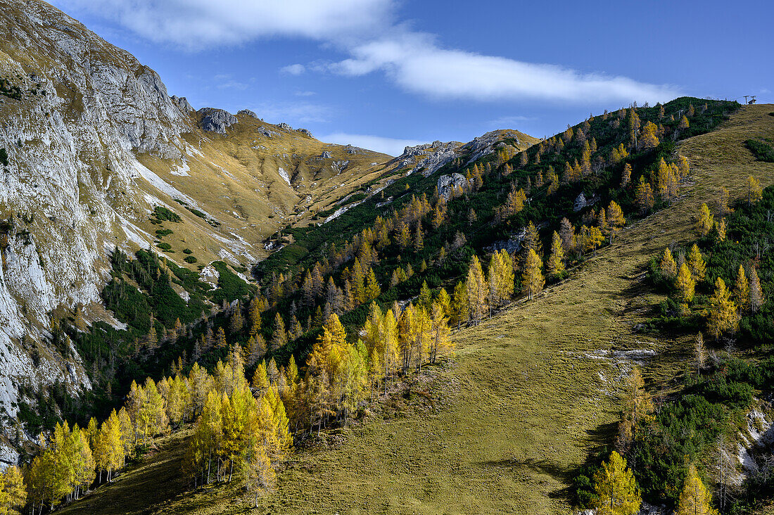 View from the Mitterkaseralm alpine pasture to mountains, hiking on Mount Jenner at Königssee in the Bavarian Alps, Königssee, Berchtesgaden National Park, Berchtesgaden Alps, Upper Bavaria, Bavaria, Germany