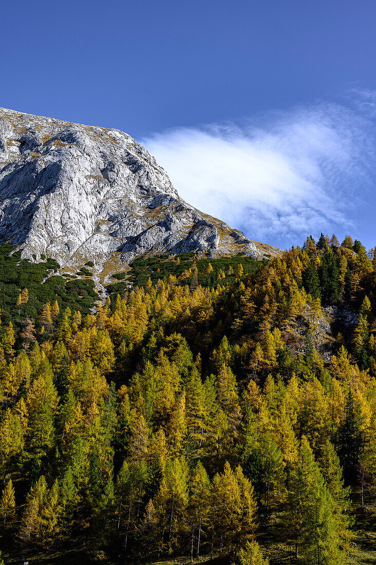 Blick von der Alm Mitterkaseralm auf Hohes Brett, Wandern auf den Berg Jenner am Königssee in den Bayerischen Alpen, Königssee, Nationalpark Berchtesgaden, Berchtesgadener Alpen, Oberbayern, Bayern, Deutschland