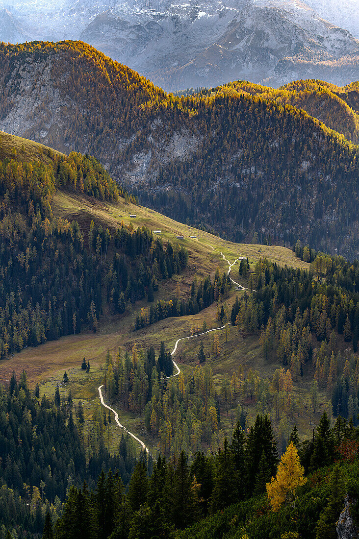 Blick vom Jenner auf Berge, Wandern auf den Berg Jenner am Königssee in den Bayerischen Alpen, Königssee, Nationalpark Berchtesgaden, Berchtesgadener Alpen, Oberbayern, Bayern, Deutschland