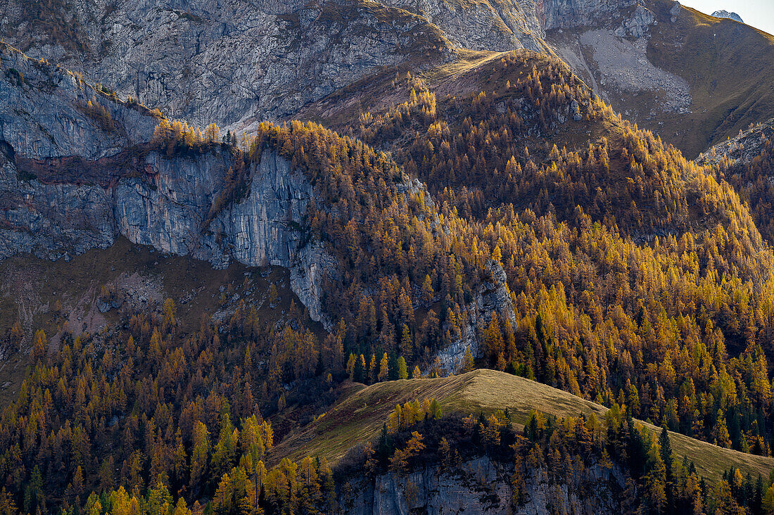 Blick vom Jenner auf Berge, Wandern auf den Berg Jenner am Königssee in den Bayerischen Alpen, Königssee, Nationalpark Berchtesgaden, Berchtesgadener Alpen, Oberbayern, Bayern, Deutschland