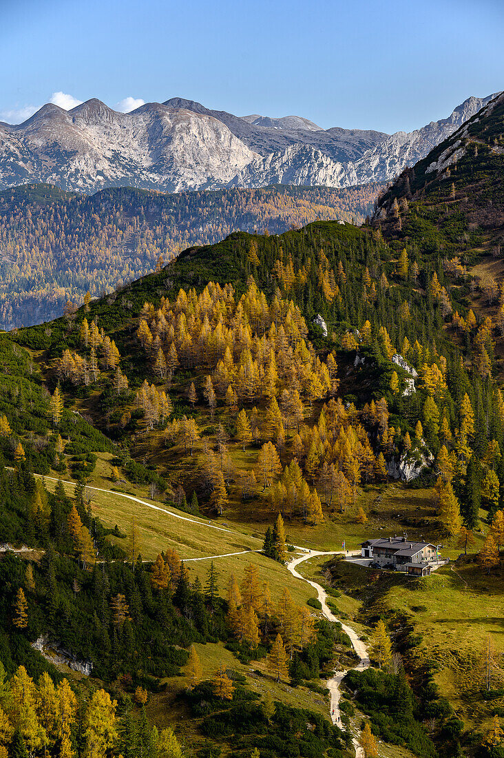 View from Jenner to mountains, hiking on Mount Jenner at Königssee in the Bavarian Alps, Königssee, Berchtesgaden National Park, Berchtesgaden Alps, Upper Bavaria, Bavaria, Germany