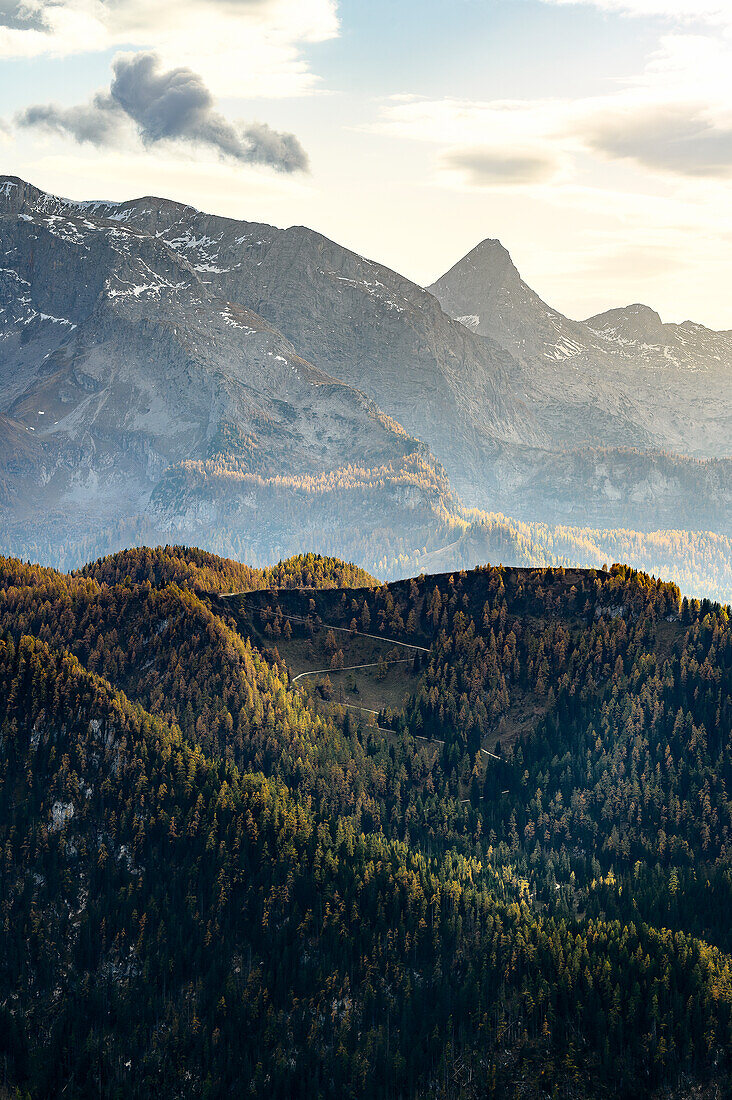 View from Jenner to mountains, hiking on Mount Jenner at Königssee in the Bavarian Alps, Königssee, Berchtesgaden National Park, Berchtesgaden Alps, Upper Bavaria, Bavaria, Germany