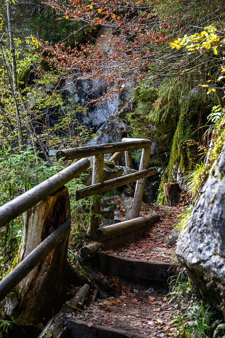 Wandweg Naturlehrpfad am Bach/Fluss Ramsauer Ache, wandern im Zauberwald am Hintersee im Bergsteigerdorf Ramsau. Ramsau bei Berchtesgaden, am Watzmann und Königssee, Nationalpark Berchtesgaden, Berchtesgadener Alpen, Oberbayern, Bayern, Deutschland