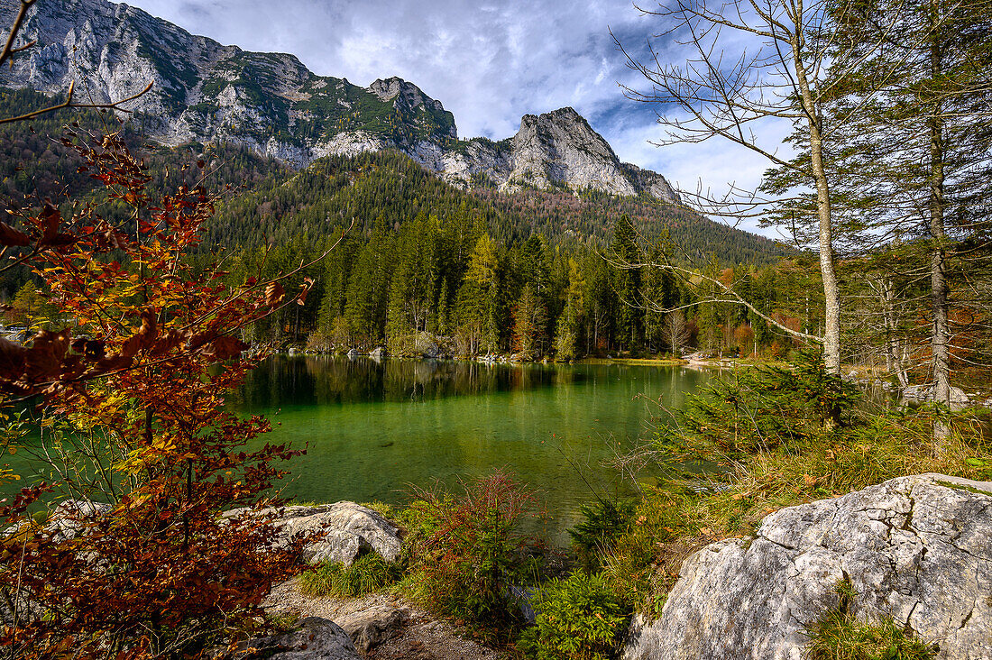 View of Hintersee, wall nature trail on the stream/river Ramsauer Ache, hiking in the magic forest on Hintersee in the mountaineering village of Ramsau. Ramsau near Berchtesgaden, at the Watzmann and Königssee, Berchtesgaden National Park, Berchtesgaden Alps, Upper Bavaria, Bavaria, Germany