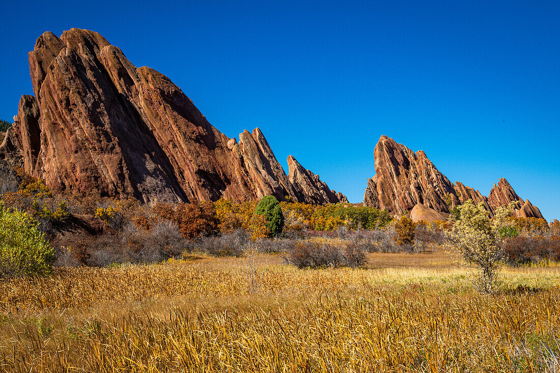 Rote Felsen und blauer Himmel im Roxborough State Park, Herbst in Colorado, USA