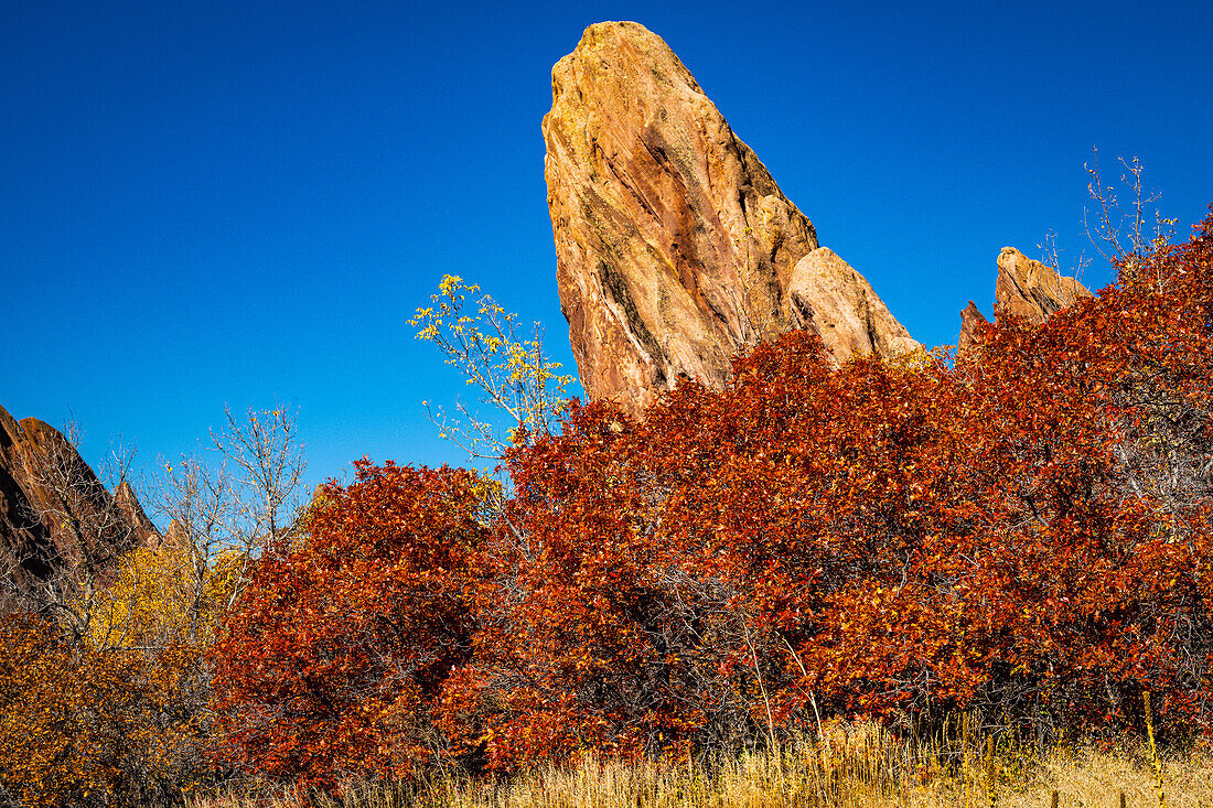 Rote Felsen und blauer Himmel im Roxborough State Park, Herbst in Colorado, USA