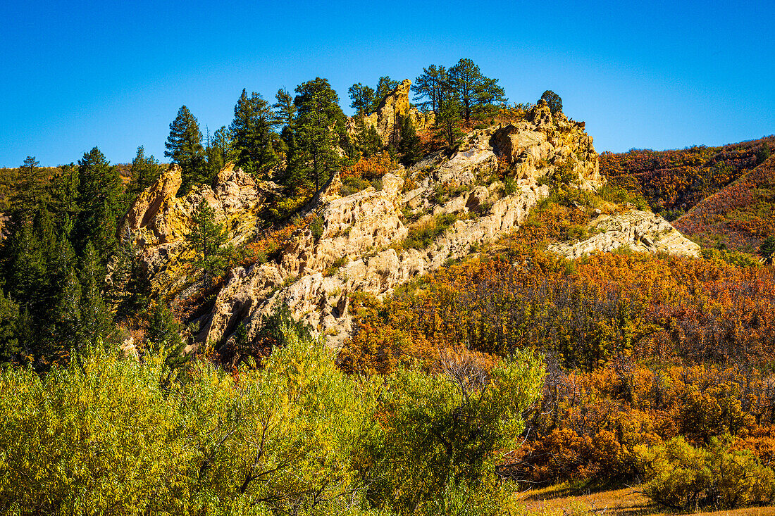 Autumn colors highlighted against the red rocks and blue sky in Roxborough State Park in Colorado